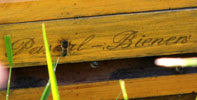 Das Foto zeigt den Einflugschlitz eines Bienenkastens, der mit der Aufschrift Pascal-Bienen versehen ist.