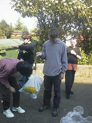 Schüler bei der Mülluntersuchung