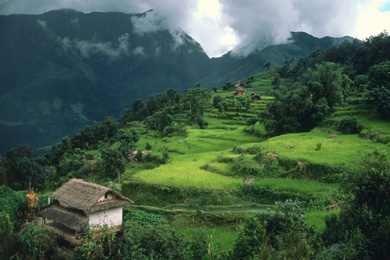 Das Foto zeigt eine grüne bergige Landschaft unter dichten Wolken.