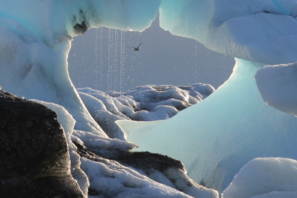 Das Foto zeigt blau schimmerndes schmelzendes Gletschereis.