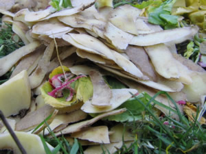 Bioabfälle auf dem Komposthaufen: Kartoffelschalen