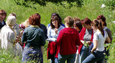 Eine Gruppe Erzieherinnen steht im lockeren Gespräch auf einer Sommerwiese.