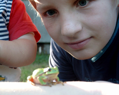 Ein Junge sieht sich staunend einen Laubfrosch an